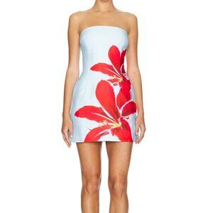 Runaway The Label Blue Mini Dress With Red Flower